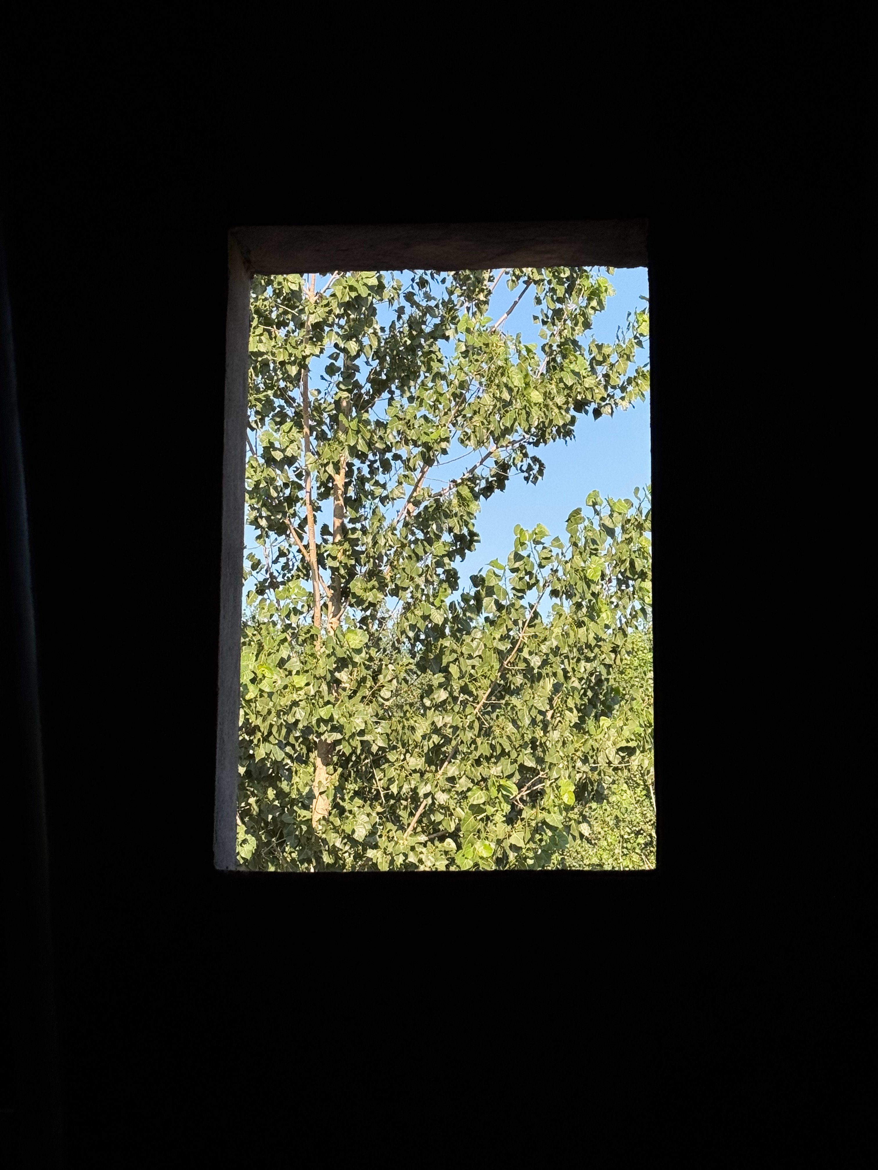 老家房子进入装修阶段 ，争取年底装修完成树下有片红房子蓝天 连云港