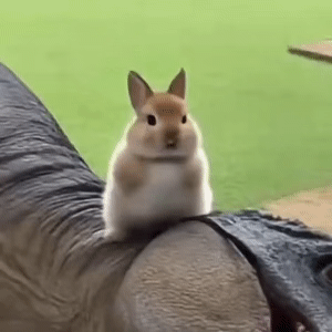 我妈给我的工商银行账户转账一笔钱，我收到了但是被秒冻结了。银行没有给我任何提示，