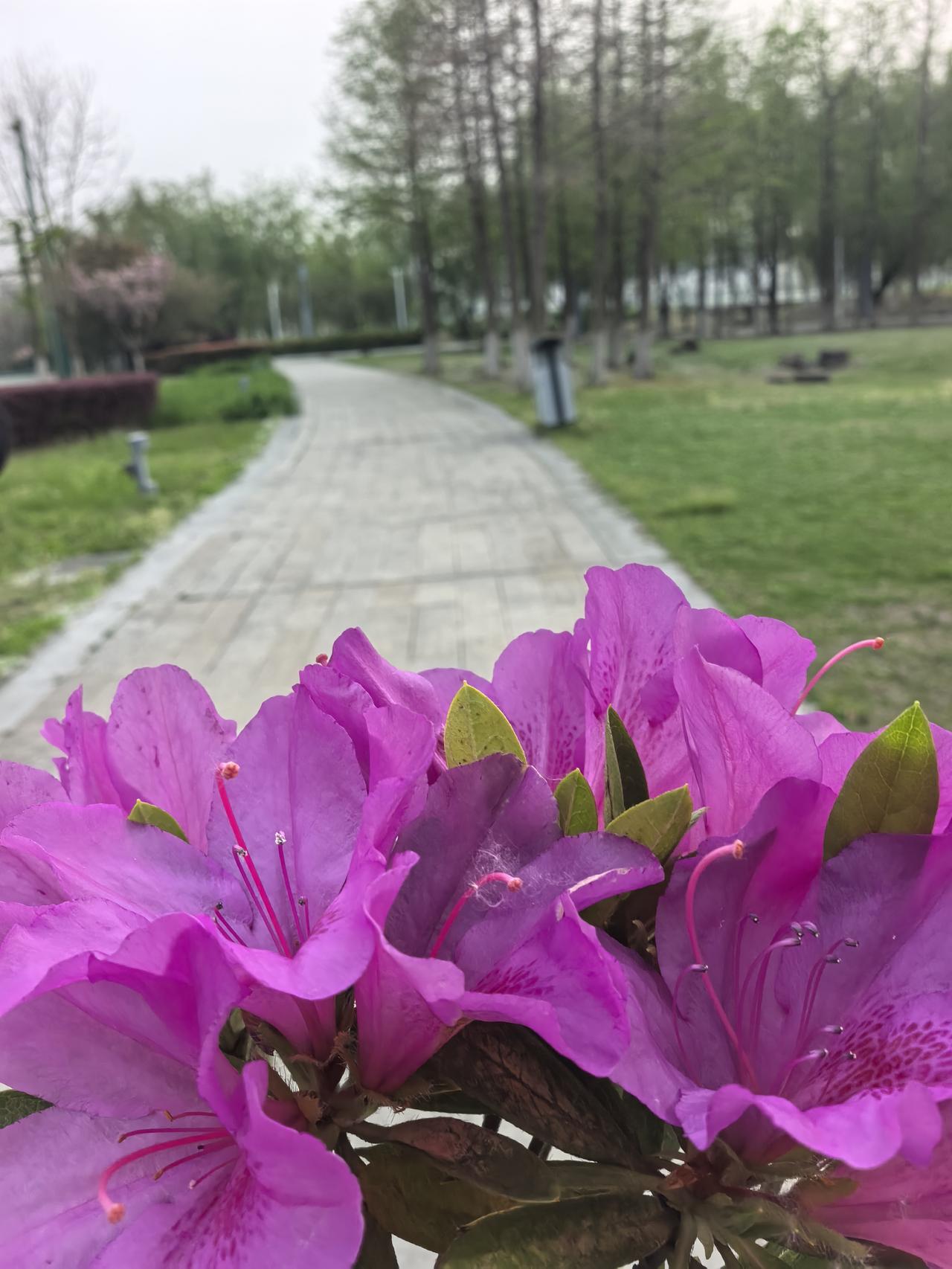 教育分班清零政策评论
 
教育部发布重磅通知，从2026年4月3日起，全国中小学