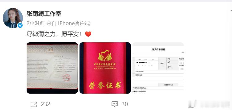 张雨绮做公益绝不含糊张雨绮每次都捐款100w张雨绮每次都捐款100w 