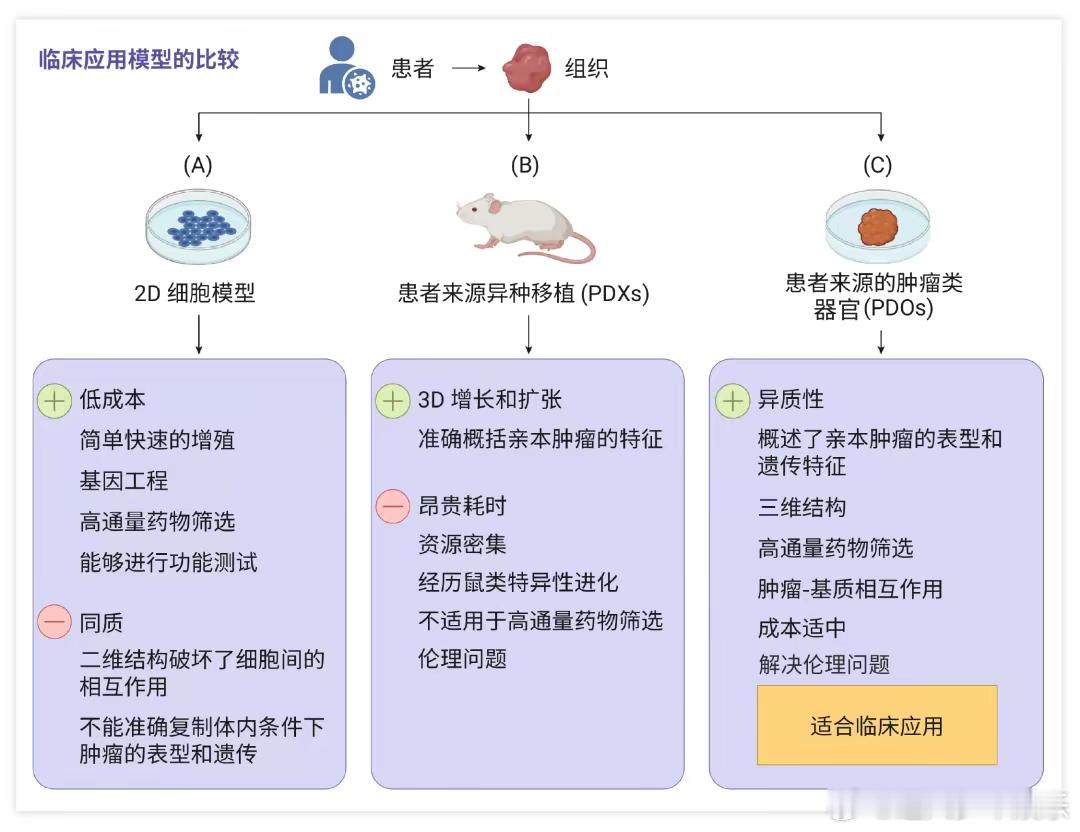 3D打印技术可帮癌症患者试药  让癌症患者少受苦，3D打印技术正走在前沿！深圳实