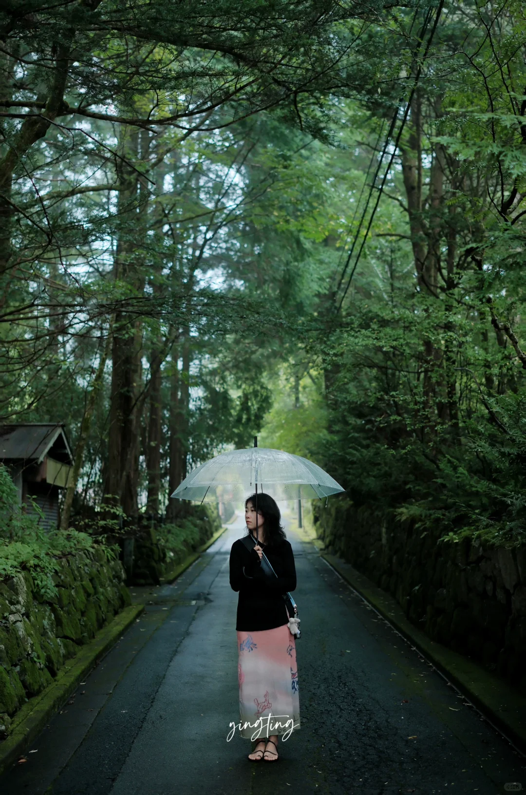 🇯🇵雨天Nikko日光，期待下次重逢在晴天