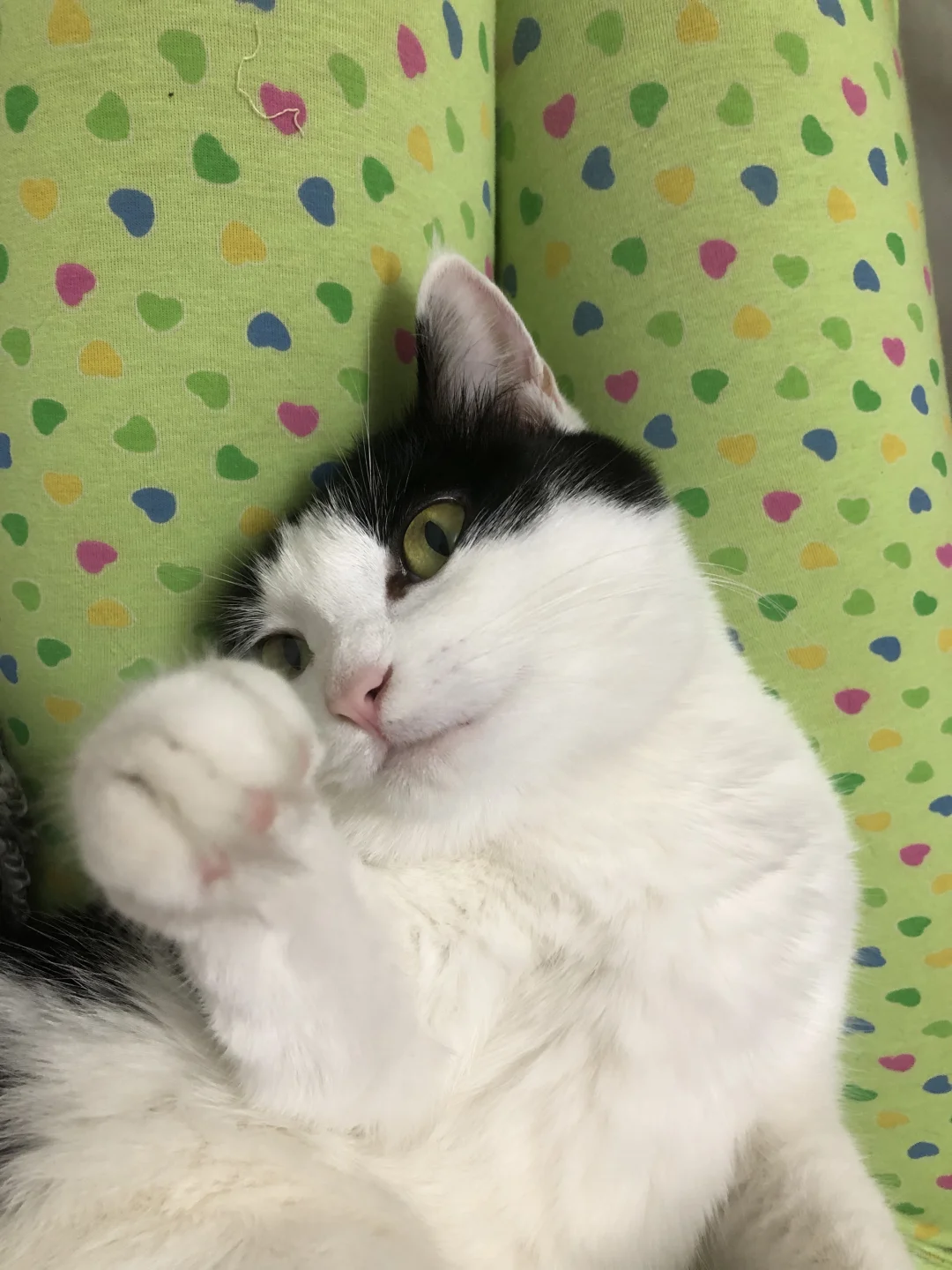 哎呀~人家摔倒拉