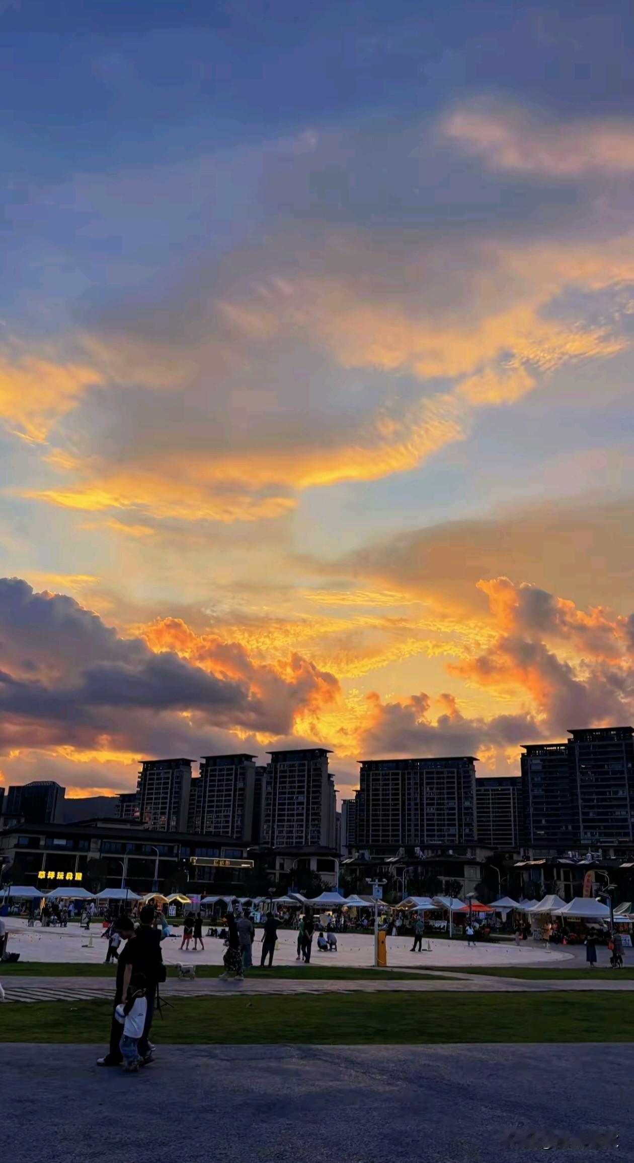寻常光景，自有岁月温良。