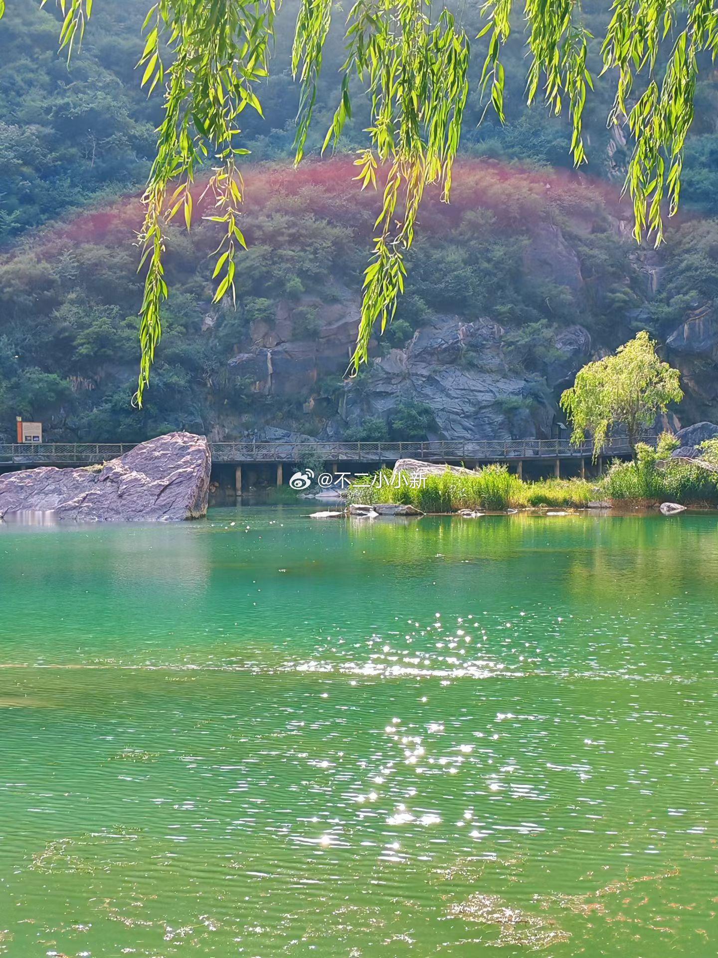 藏在山谷里的翡翠湖水，风吹柳枝，水面波光晃动，看着心里格外舒服。 