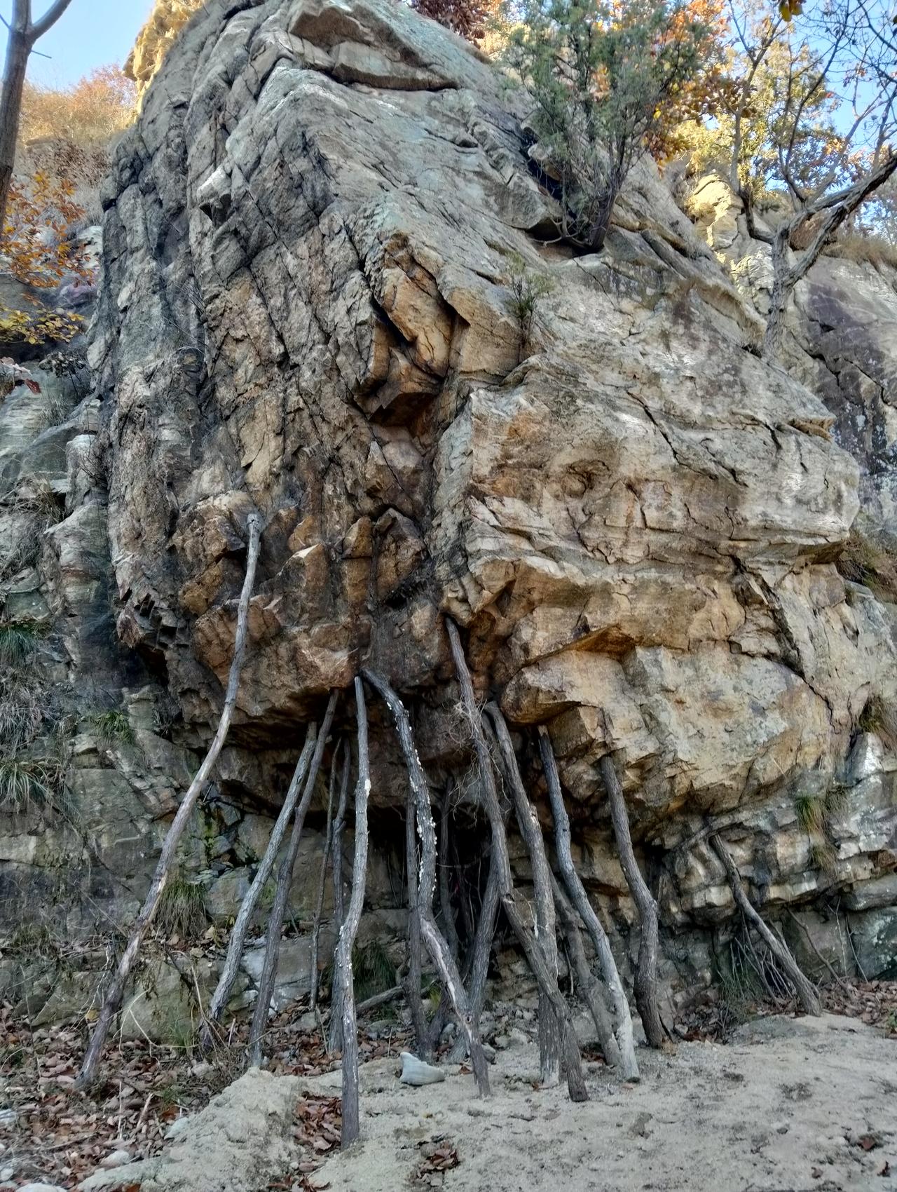 磁山的悬崖峭壁下，为什么用这个木棍来支这个巨石？
这么粗细木棍能支住巨石吗？
这