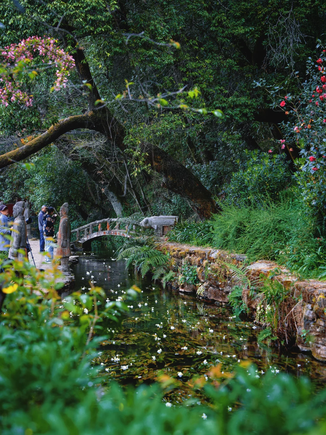 看花赶集🪺🍃🌸才是丰泽园的正确打开方式