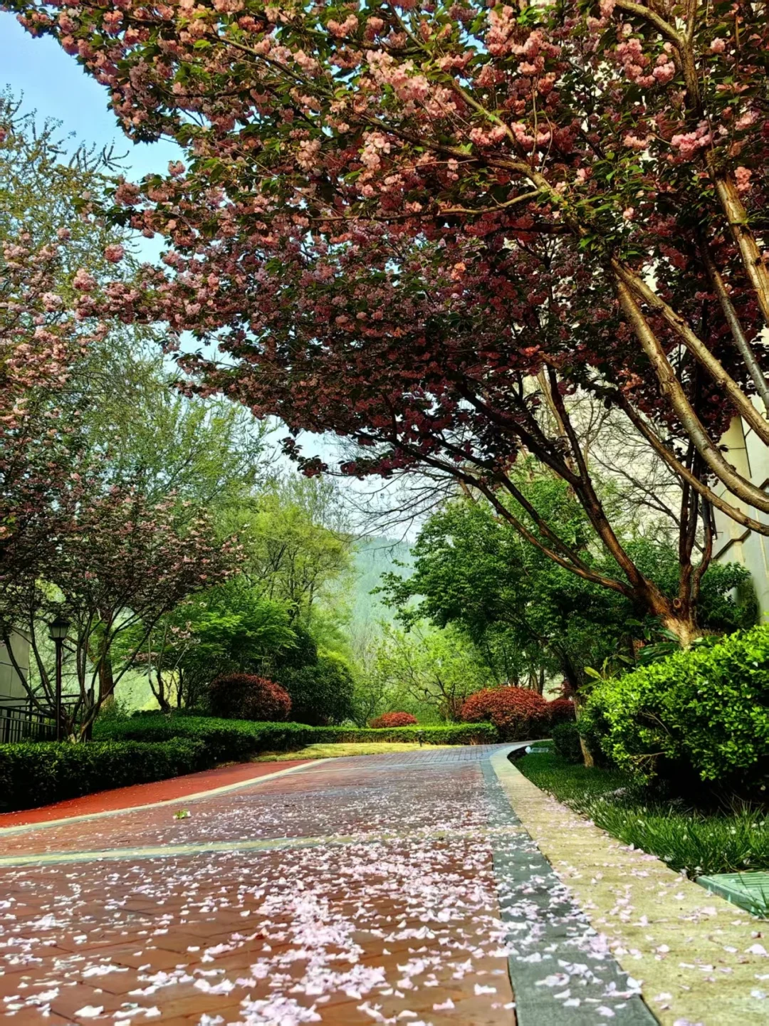 真正的吸引，是人格吸引，而不是创伤吸引。 人格吸引，本质是相互敬佩。敬...