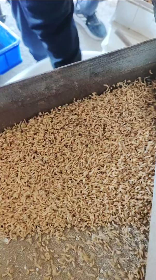 做人好奇心别太重，就因为没忍住看了一眼，已经两天吃不下饭了[笑哭]