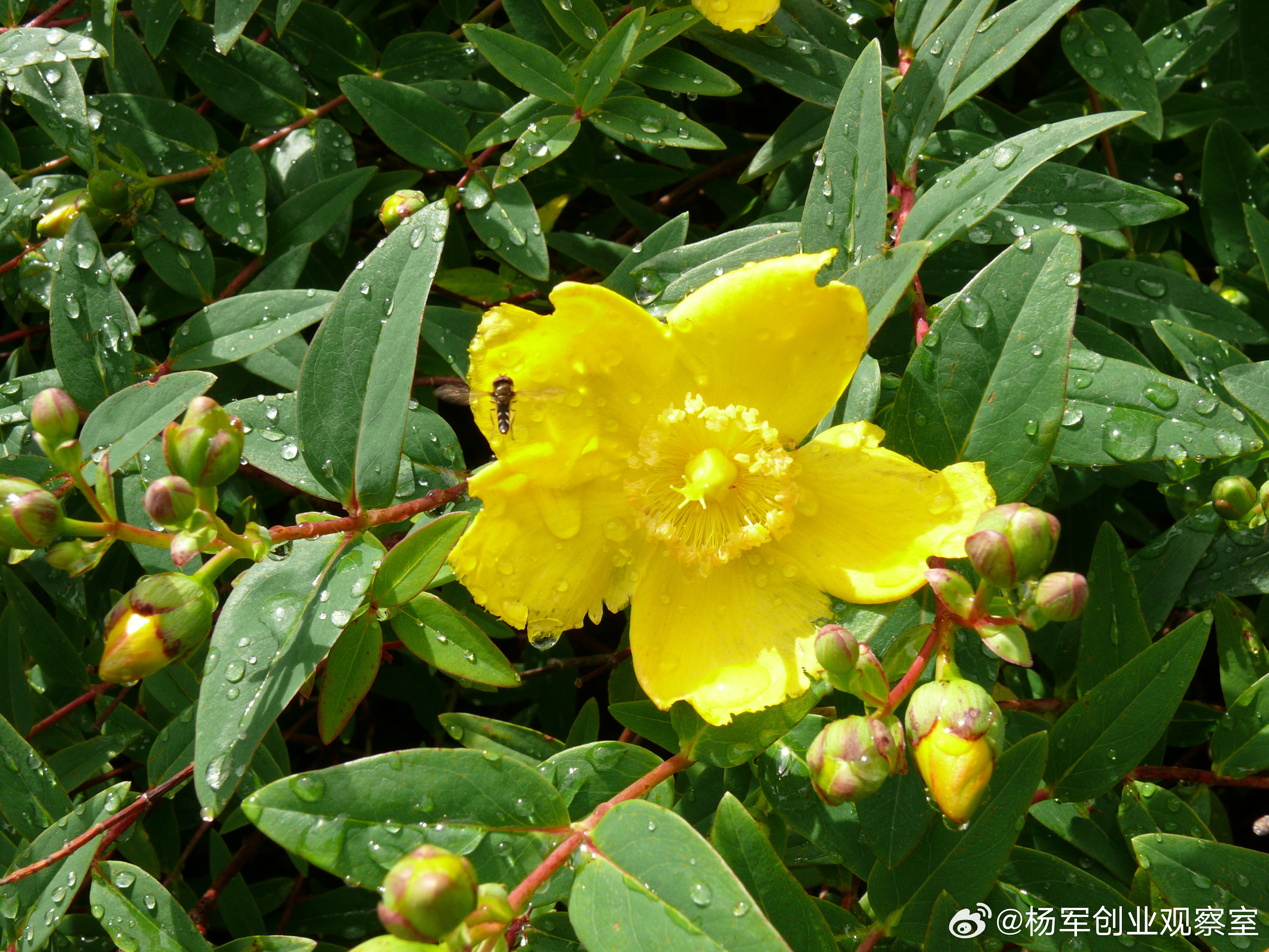 做AI算力，如果只盯着GPU，很容易掉坑里。数据中心正在经历一场硬核进化，现在的