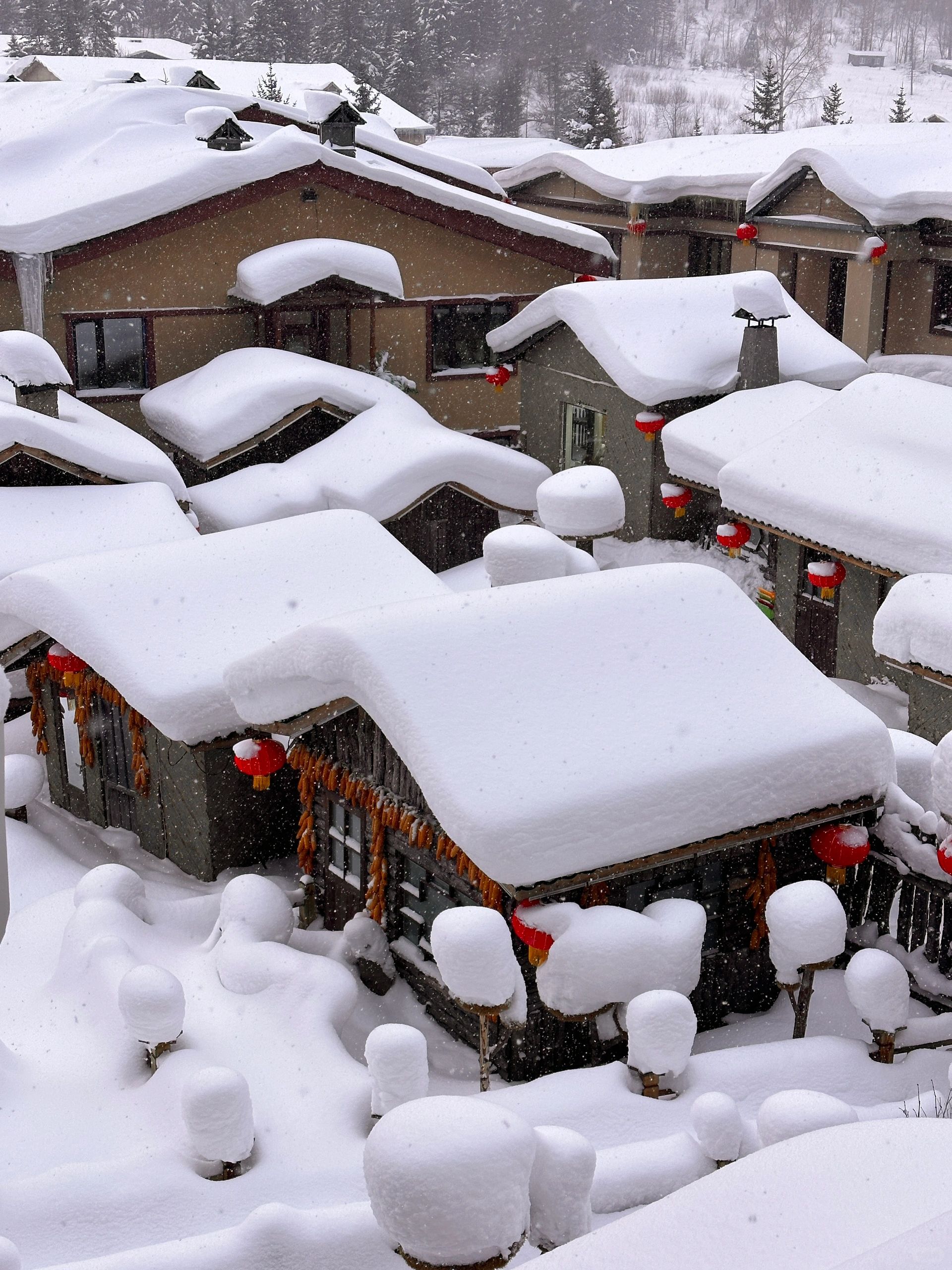 18张live图告诉你❄️哈尔滨和雪乡有多好玩‼️