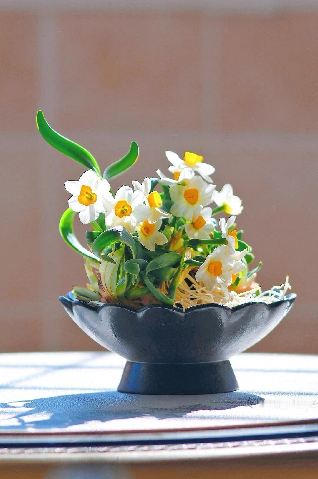 把水仙花雕刻成花孔雀中国手艺人把花养成山水画过年就爱这盆雕刻水仙，不用复杂装饰，