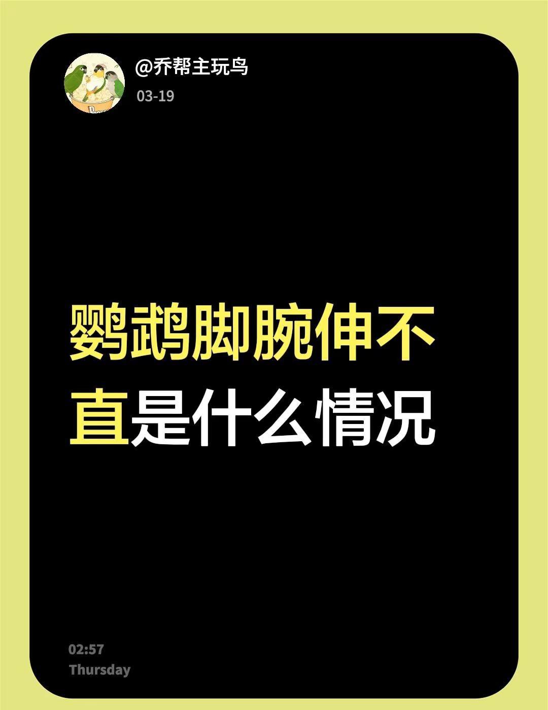 鹦鹉脚腕伸不直是什么情况不懂就问万能网友 鹦鹉急救