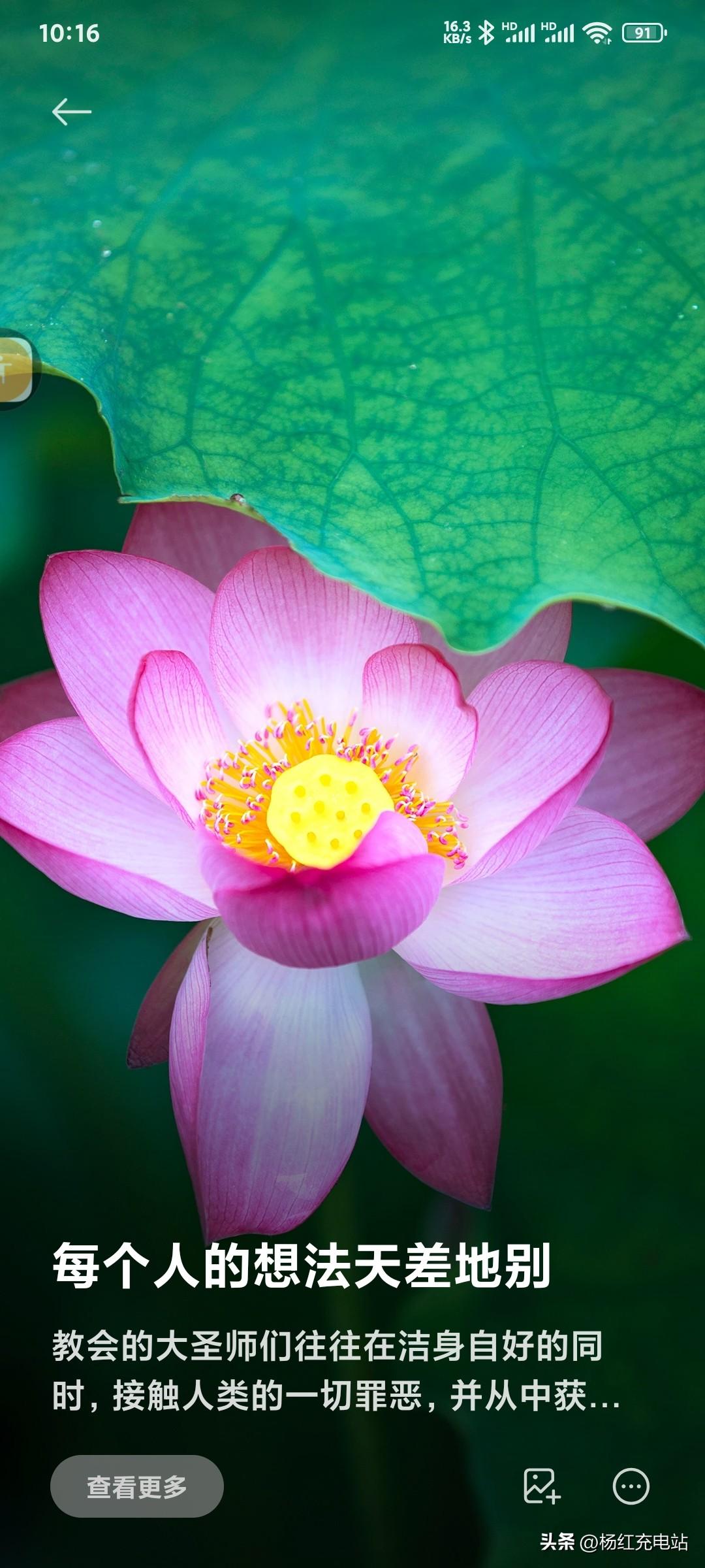 不会写文章照样能赚收益！不用文采，找对领域、坚持发、懂点平台技巧，普通人也能靠内