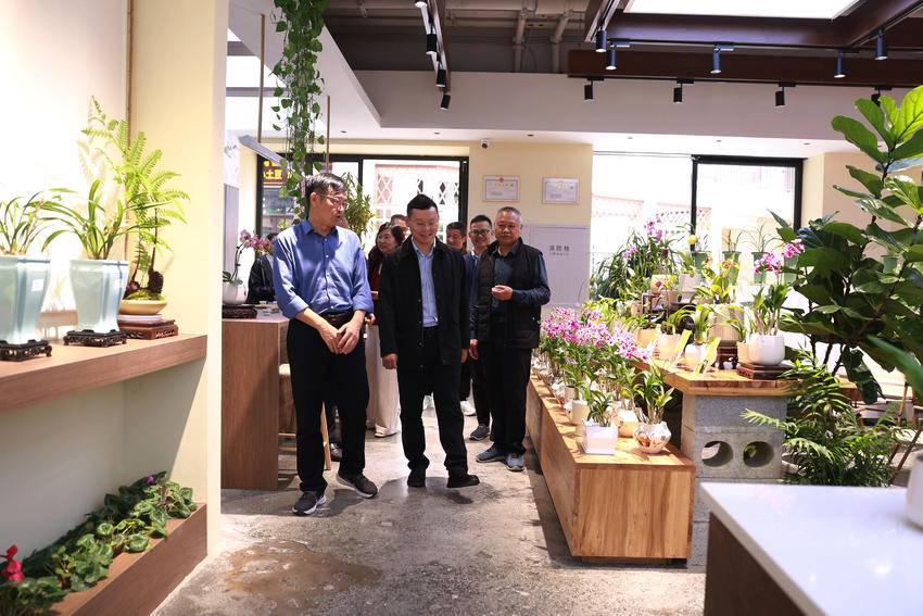 秭归：九歌巷子 兰花飘香