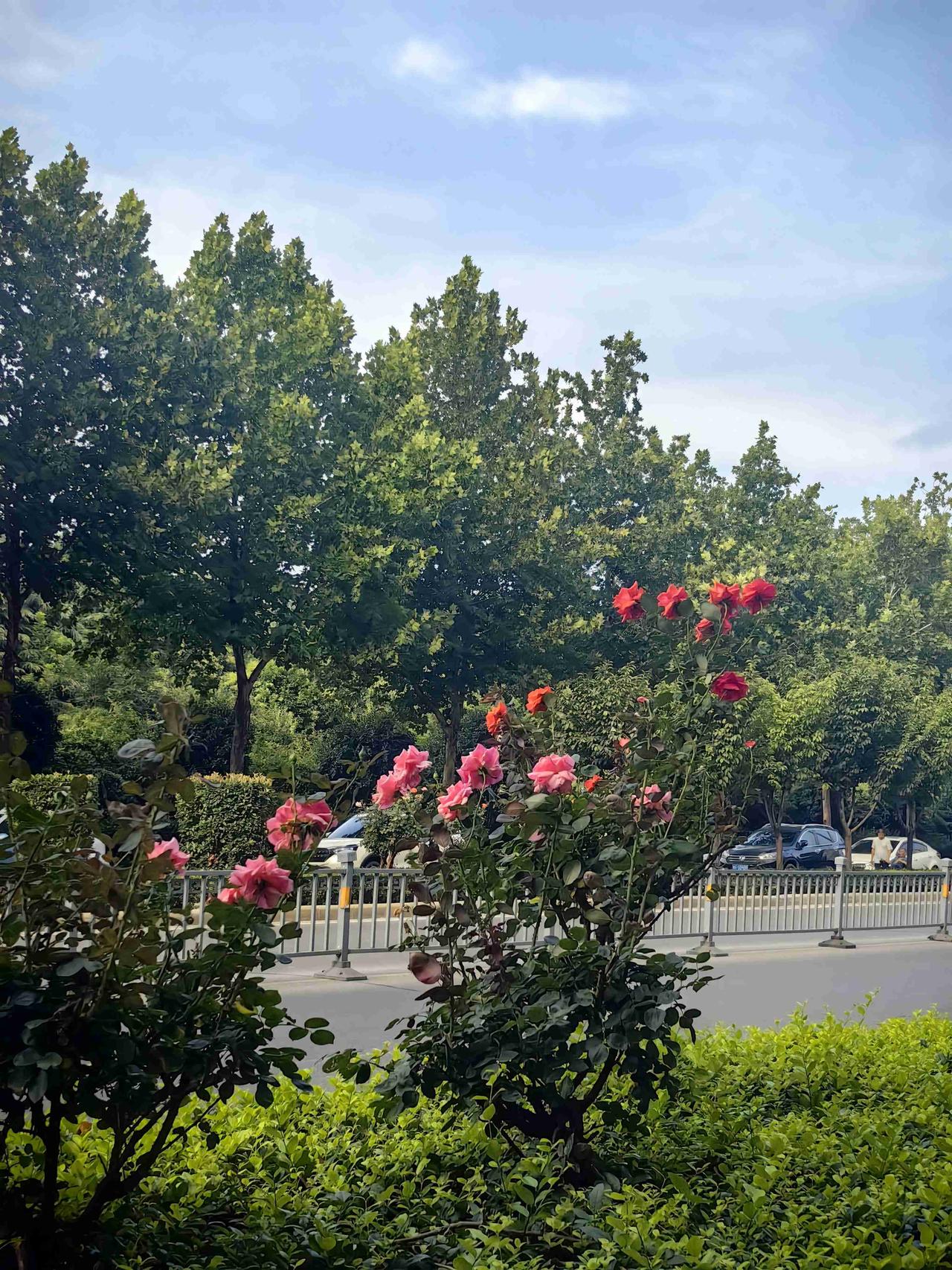 我的今日状态：😁轻松愉快
我这里的天气：☀️晴天