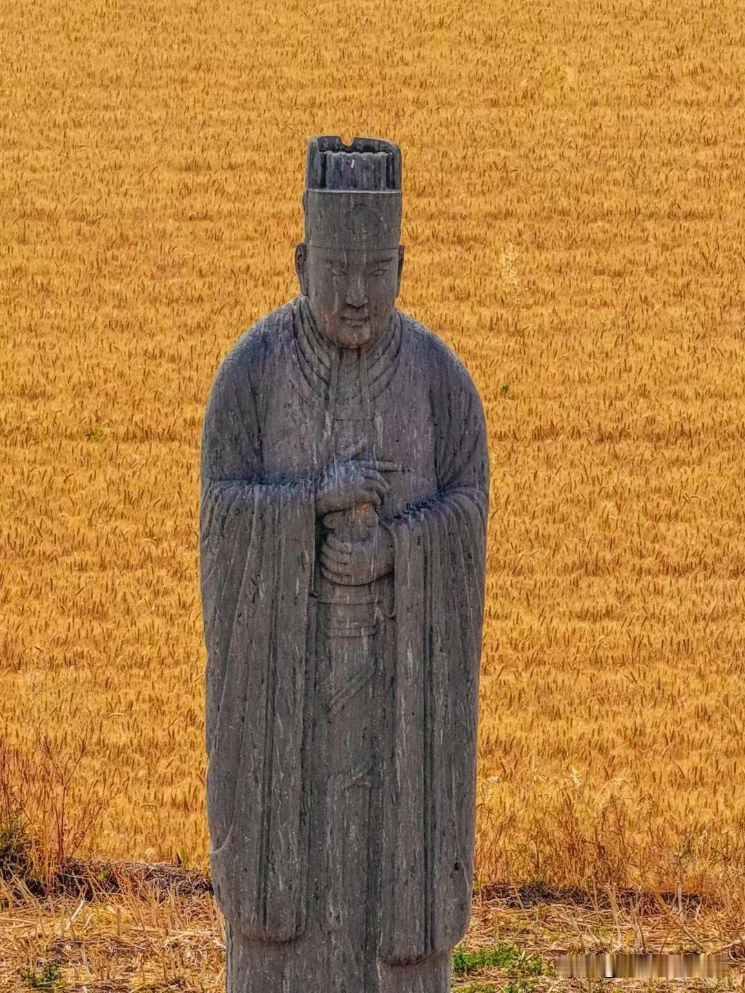 美国为何不会彻底改变对华施压策略实力面前，一切都是虛妄。