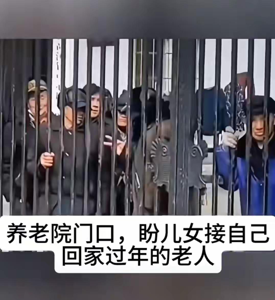 这些天，有一个疑问一直萦绕在心头：“寿比南山”到底是祝福还诅咒？
       