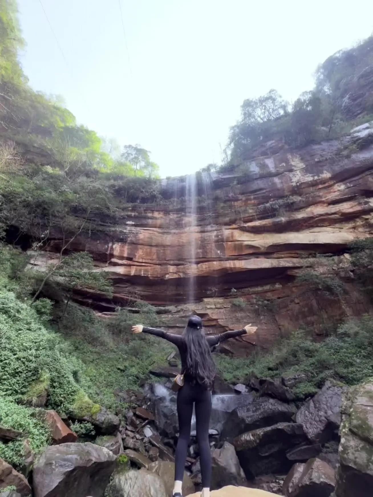 山在，树在，自由在
