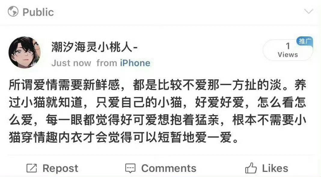 养过小猫就知道 爱不需要新鲜感 ​​​