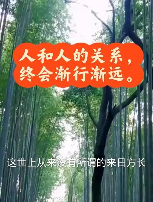 人与人的关系终归会渐行渐远
       人与人的关系啊，就像两条原本并行的铁轨