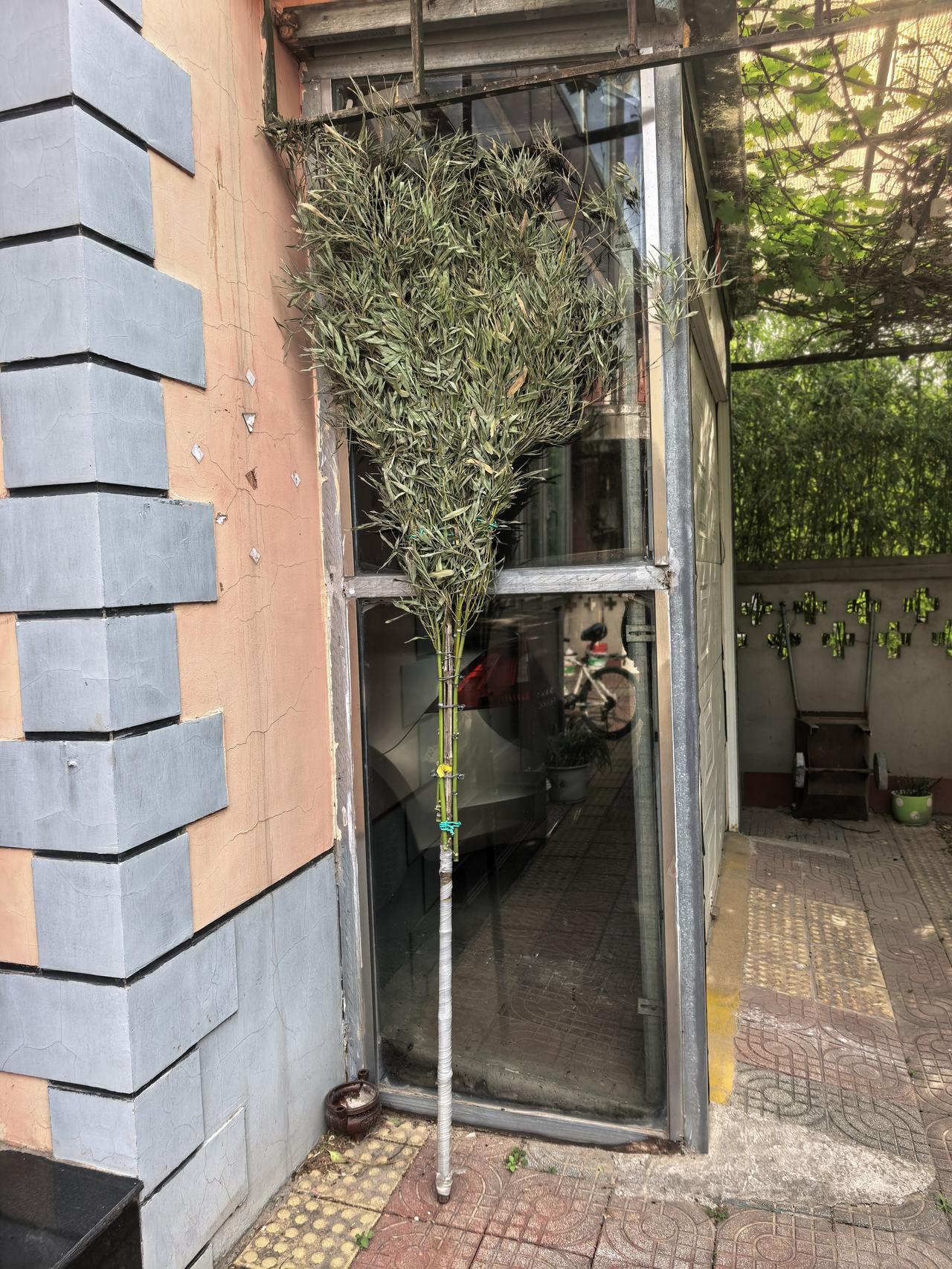 我的身边，不仅有勤快的溜友，三天两头给我整野菜，更有勤快的队友。

队友出门几天