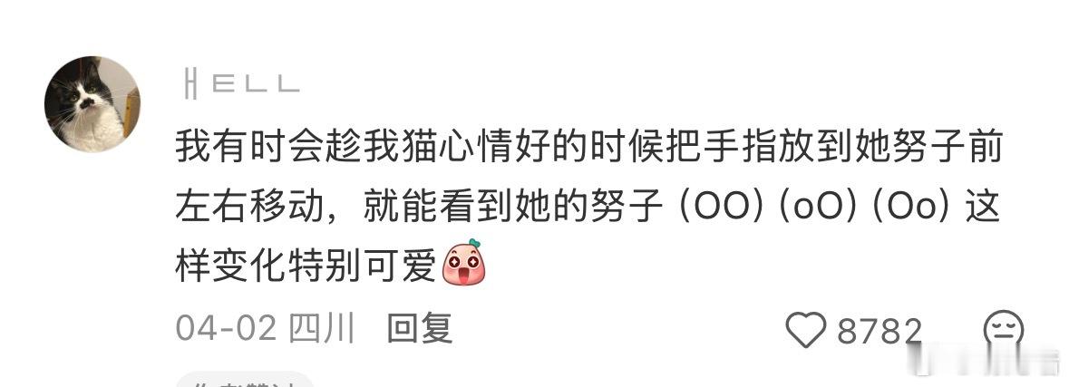 小猫的嘴努子在闻人气味的时候，会根据人身体的倾斜角度来改变嘴努子的角度( ･᷄ὢ