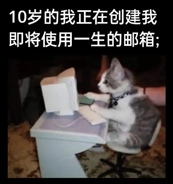 <img src=