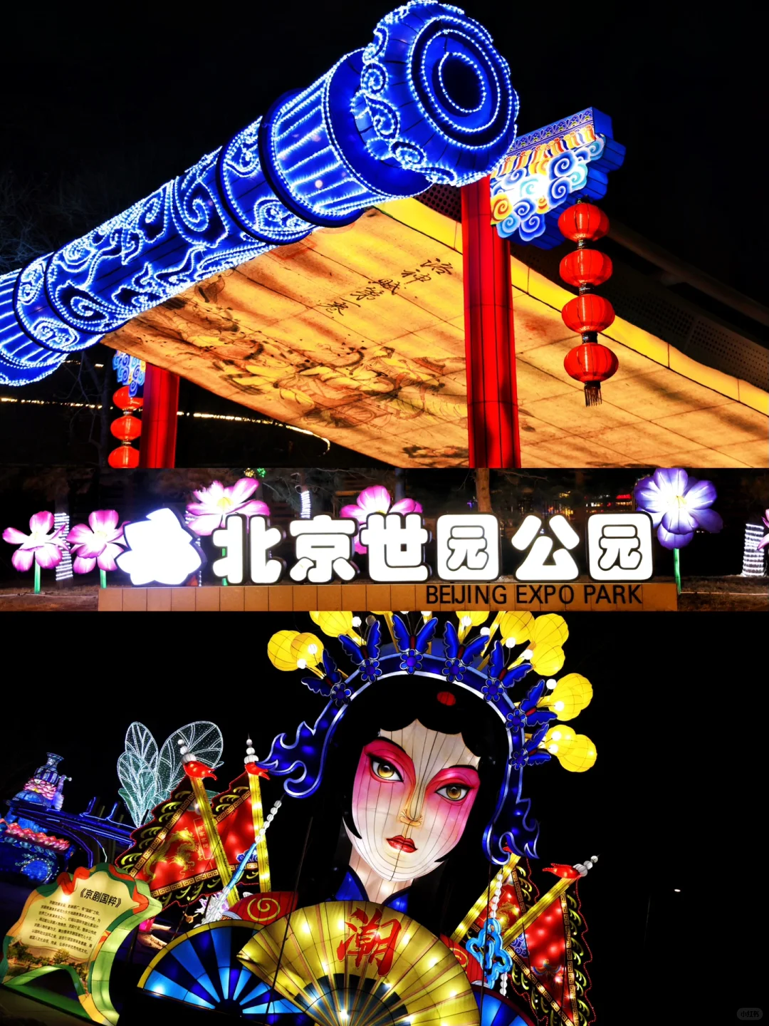 不出京，赏花灯~