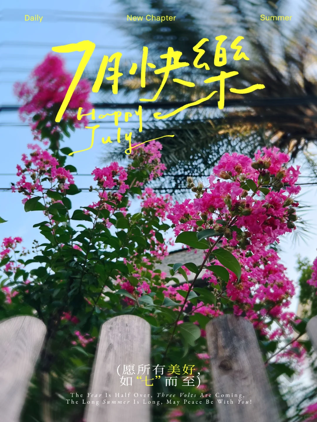 随拍 ｜ 乡村里七月的花与果