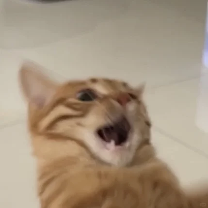 揍揍，就揍揍
