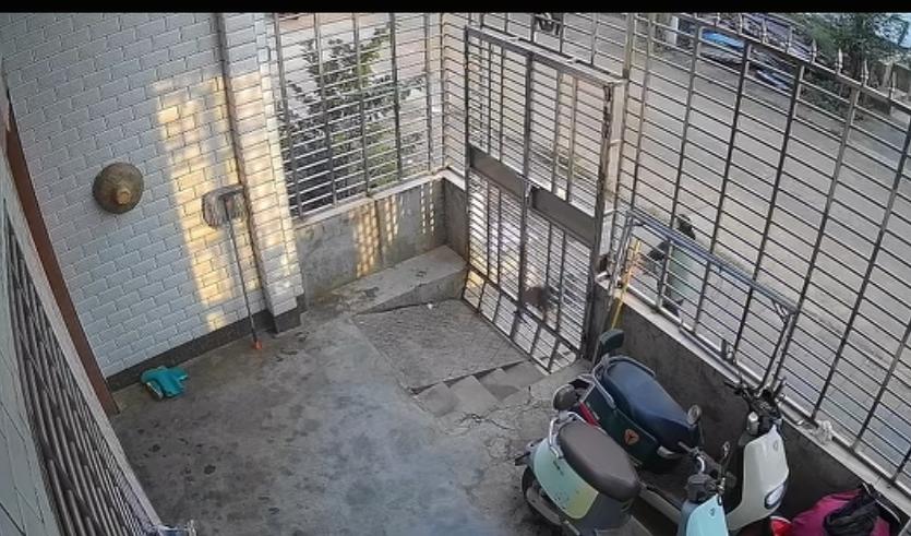 海南一女子说因为自己的丈夫和小叔子发生矛盾，偏心小叔子家的婆婆就往自己家里泼猪粪