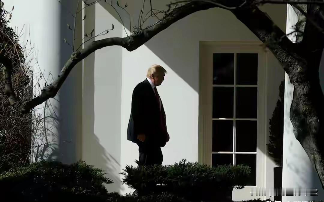 特朗普：这是在做什么呢？

这种异乎寻常的照片，上面这个人通过高科技识别是美国总