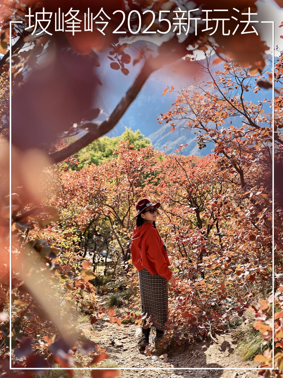 不只红叶！目测坡峰岭今年要变身文艺赏秋地