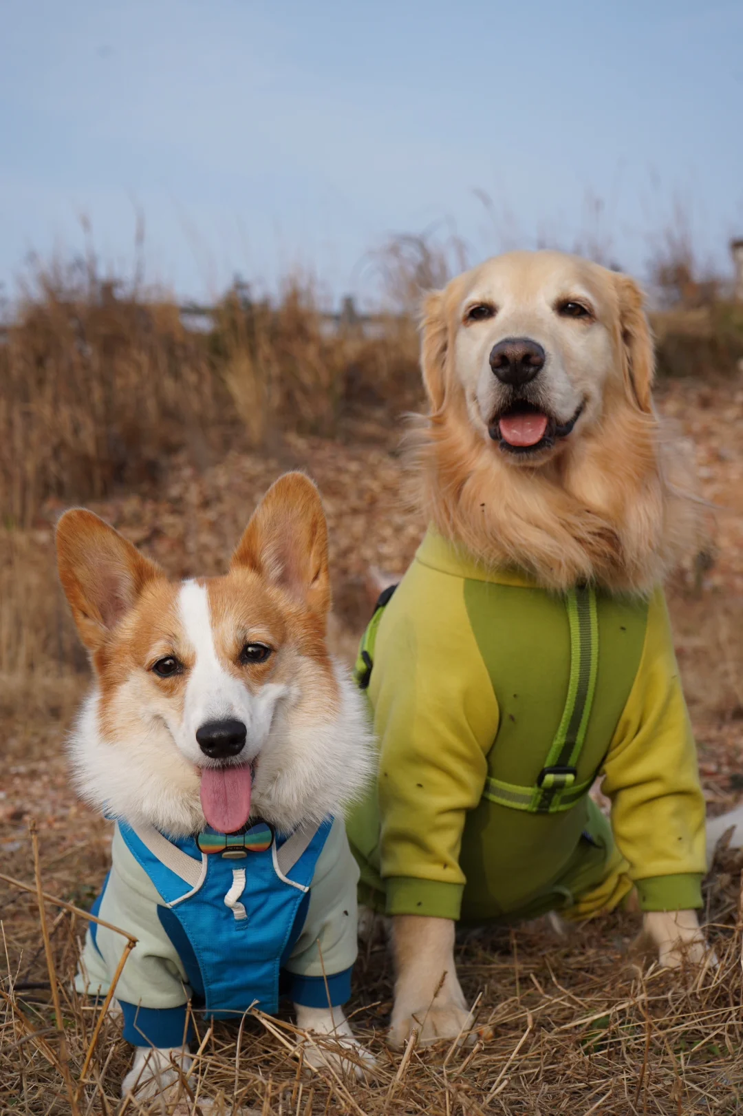 浅爬一下三公山 全是台阶哈哈哈哈