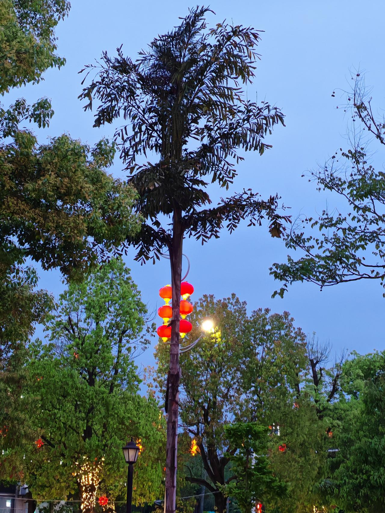 随手拍张照四川遂宁，一个很安宁悠闲的城市，前几天和朋友们去吃潮牛牛火锅，天色还未