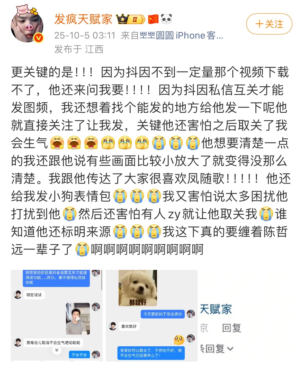 我的老天鹅，陈哲远这么温柔的吗 ​​​