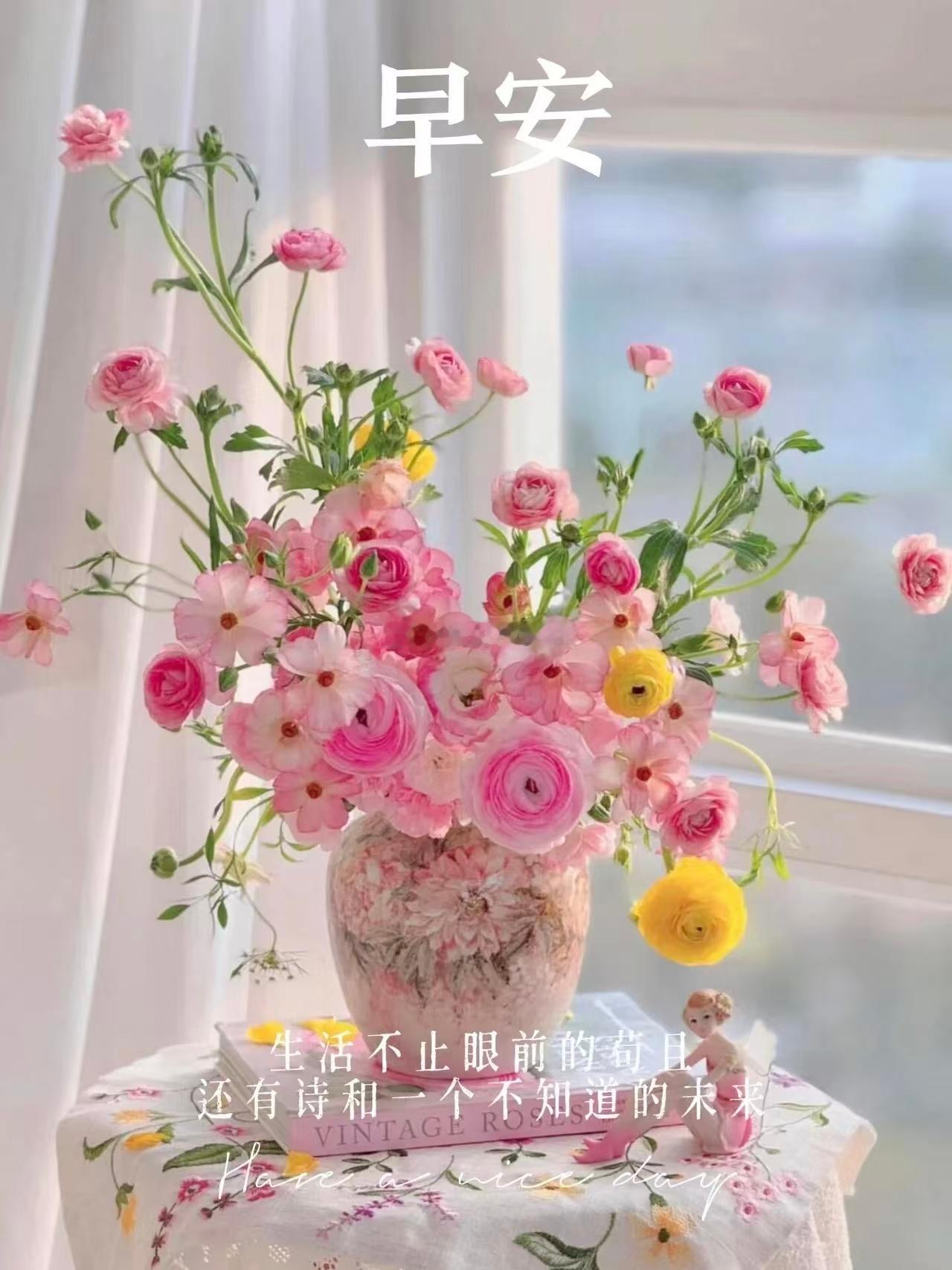 【周二，早安】不必追赶日出，你自有你的节奏， 清晨的风会拂去昨日的疲惫， 新的一