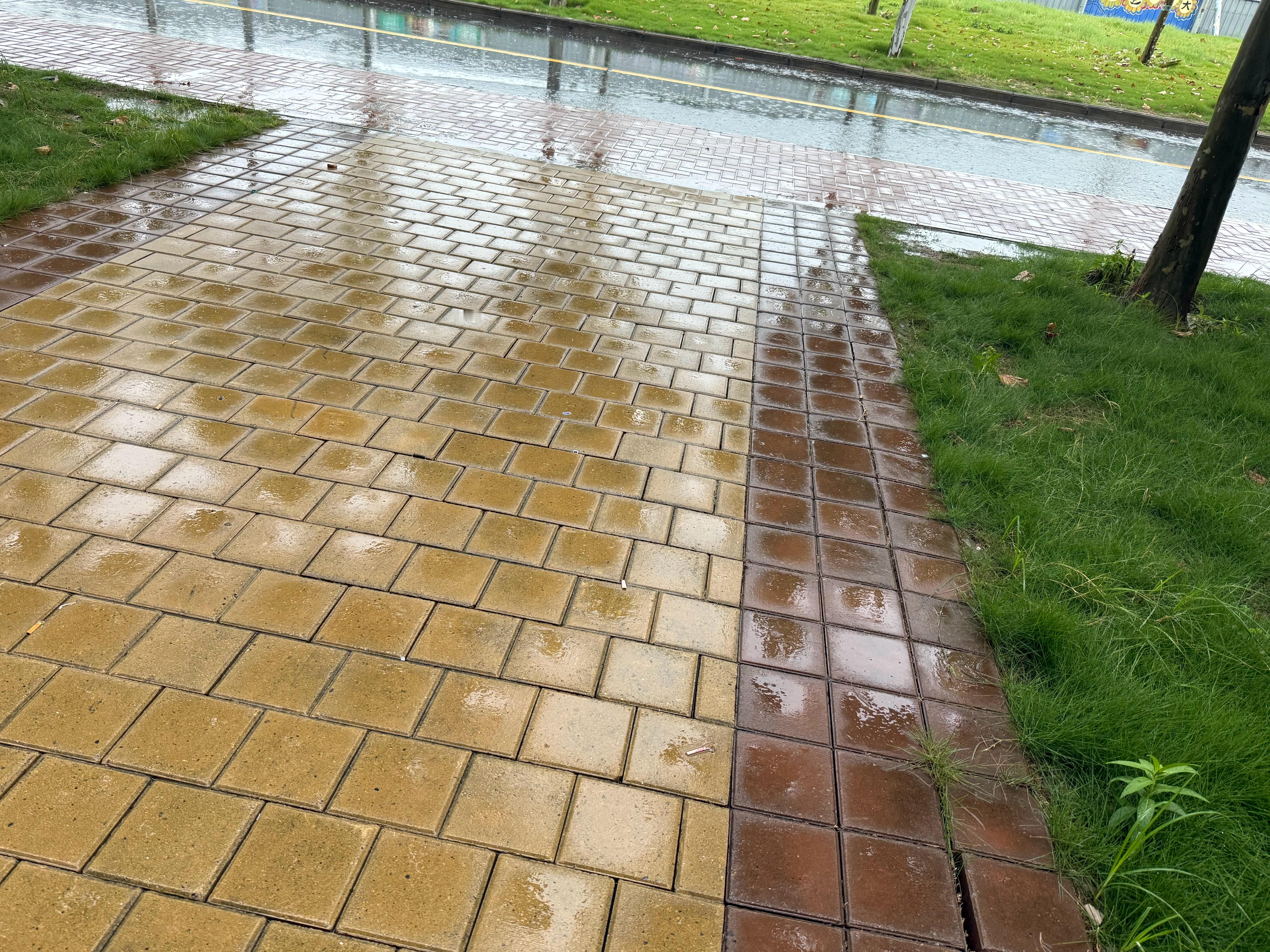 大家的城市都下雨了吗？[思考] ​​​