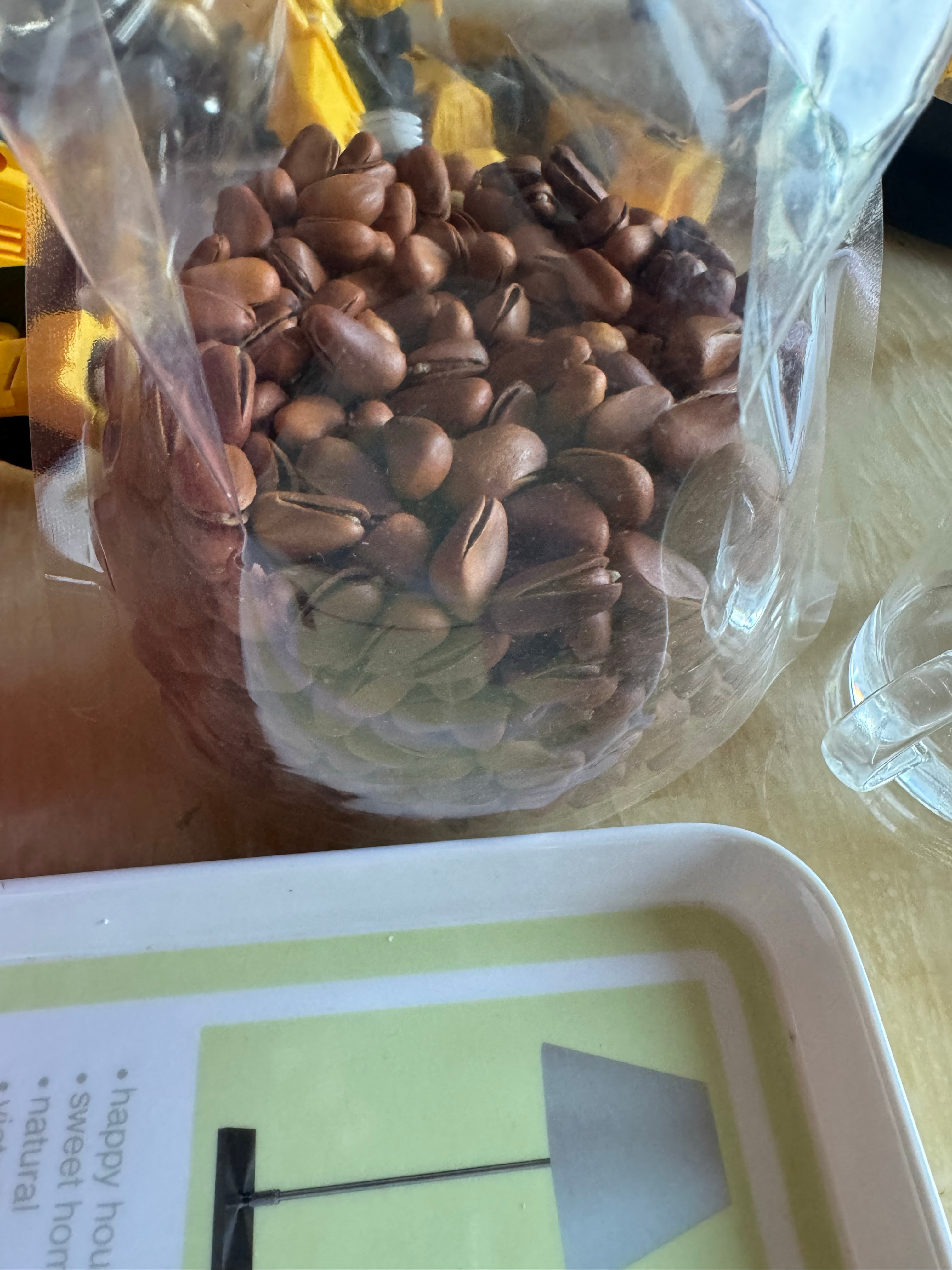 要不是拉肚子 可以当一个快乐的松鼠樱花[融化] ​​​