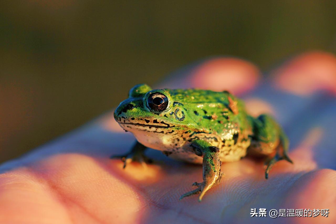 老公其实很有才华，也曾经酷爱摄影。这些都是他的作品。