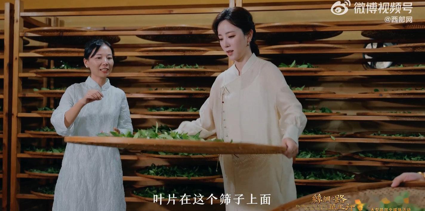 丝路连山海一叶看千年  古时候商人带着茶叶翻山越岭，如今一辆辆中国车奔赴山海，不