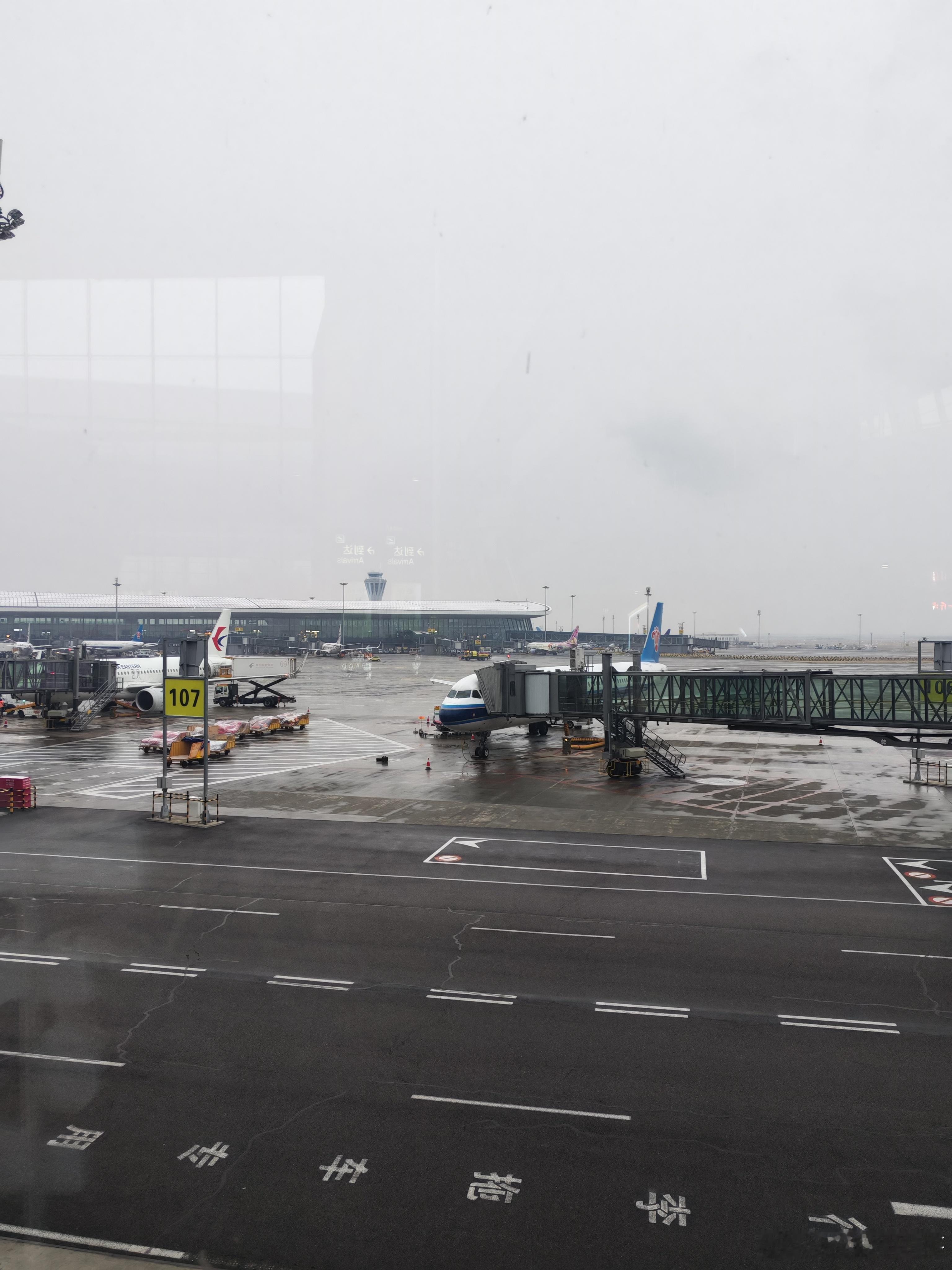 飞向诗和远方！ 