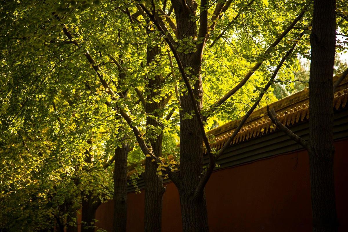 海外物流老板说业务火得很，但就是不赚钱，因为要垫资业务接得越多，自己就要垫得越多