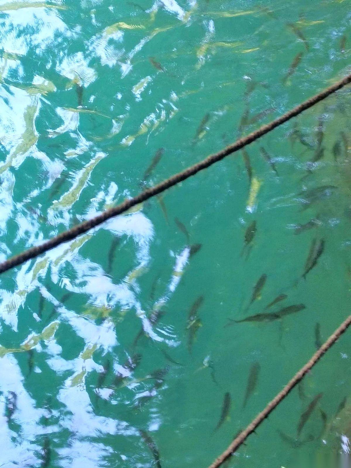 85万，一分没少。
就这么强制执行，从他公积金账户里，哗啦一下，全划到了她的账上