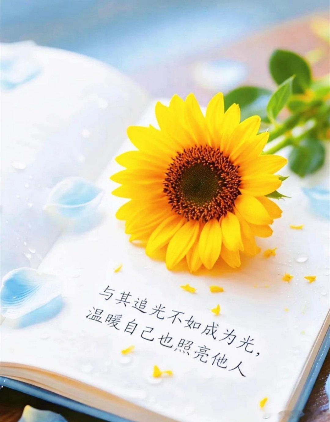 早安[超话] 今天就是我们生命中最年轻的一天，风雨终会停歇，愿我们都能守住好心情