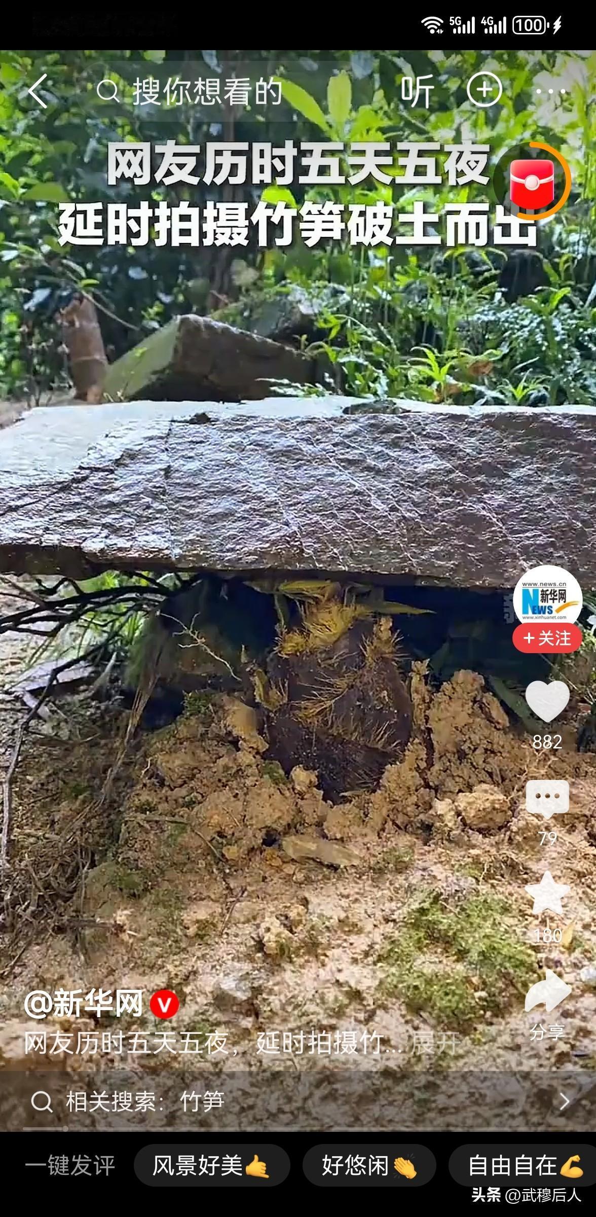 5天4夜蹲守！竹笋顶翻巨石爆火全网，摄影师一句话，看哭千万人

你敢相信吗？一颗