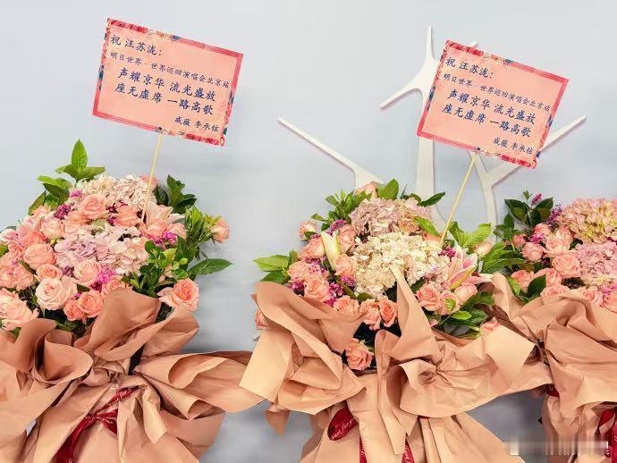 戚薇汪苏泷从登陆星球到明日世界 汪苏泷的鸟巢后台花篮长廊里，有戚薇李承铉送的那一