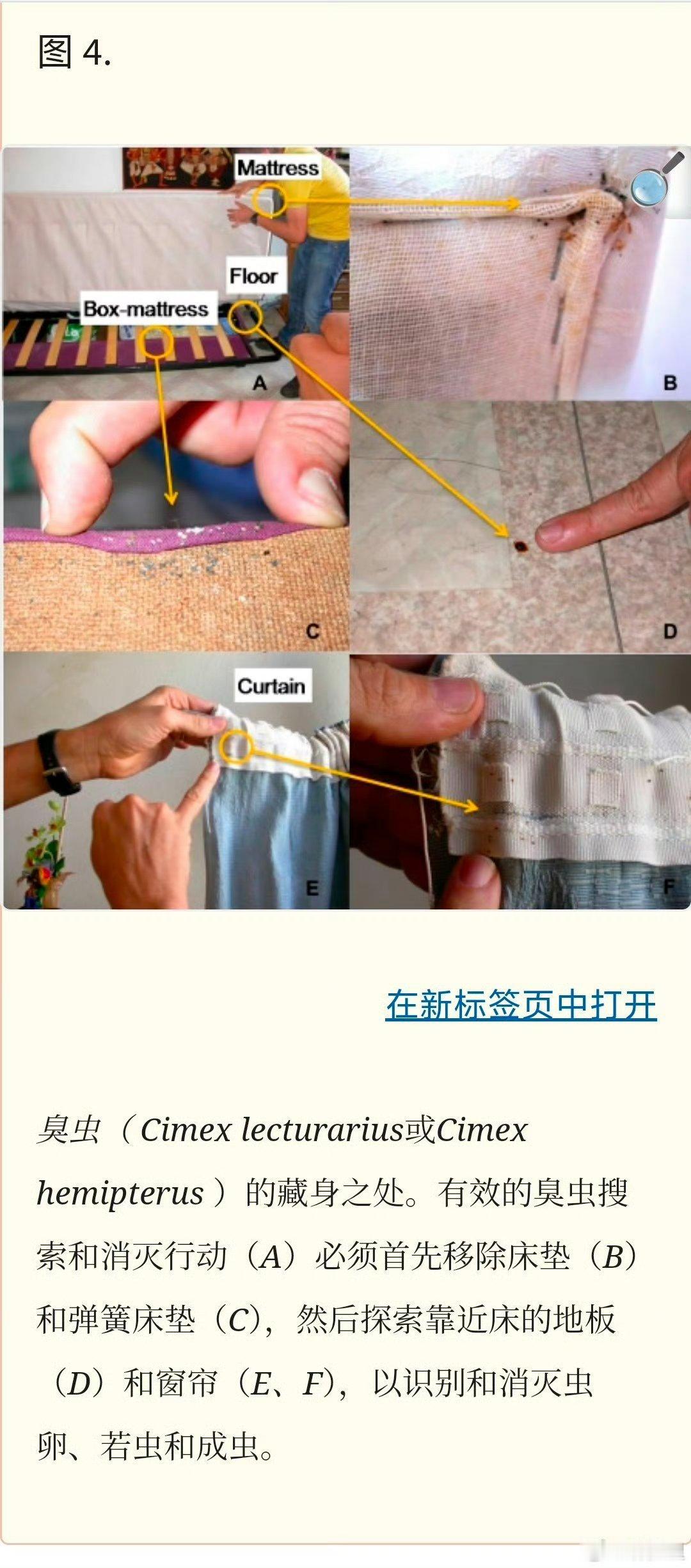 上海 床虱老外带来的。有的歪果仁是真的不爱干净，很脏。臭虫藏在他们的衣物、行李里