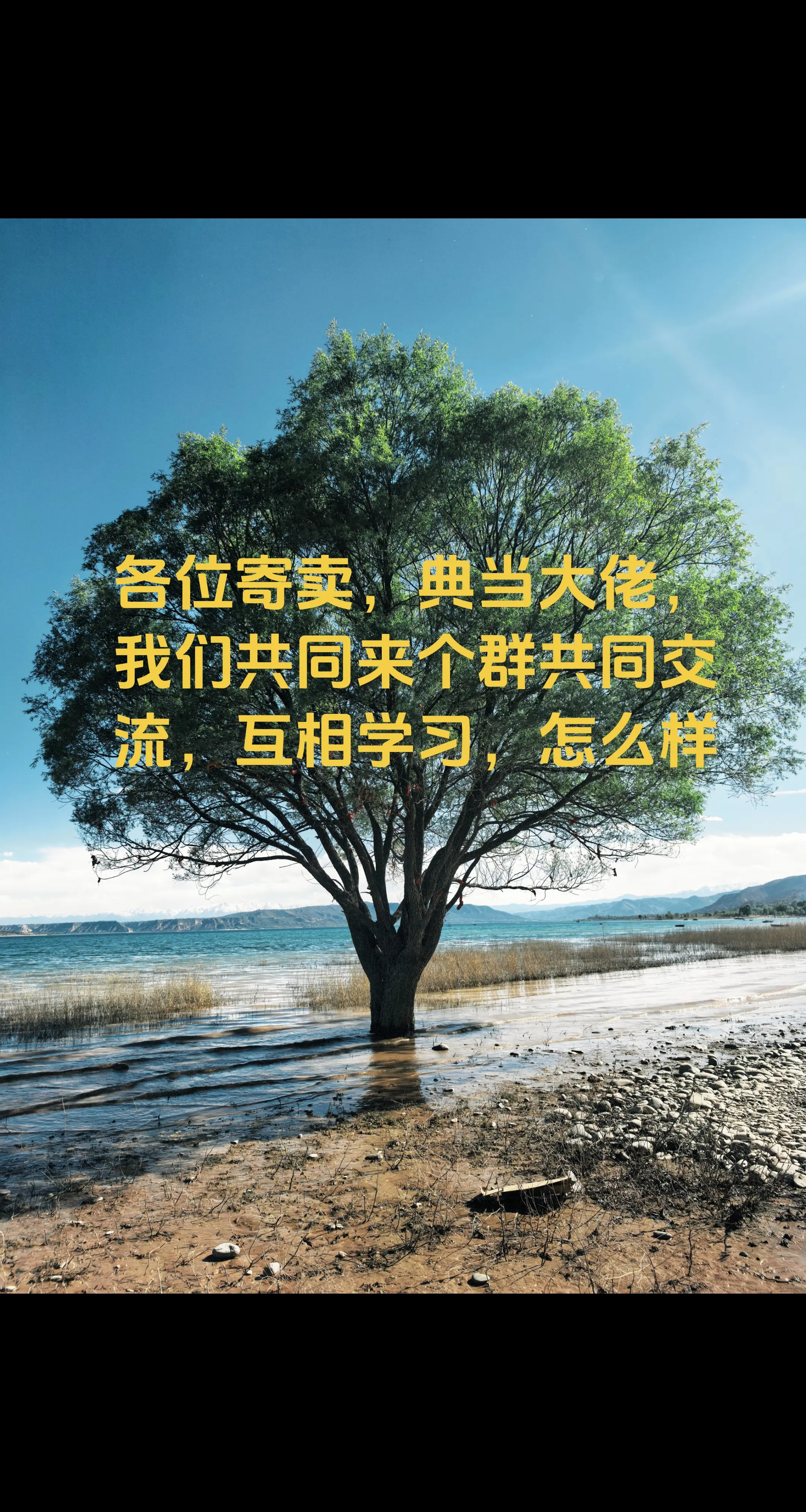 来吧，共同学习，共同进步